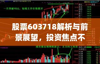 股票603718解析與前景展望，投資焦點不容錯過