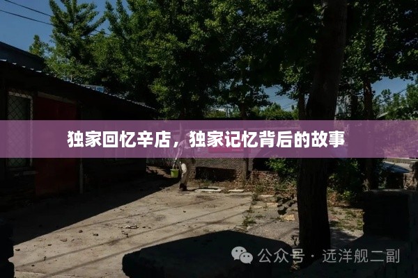 獨(dú)家回憶辛店，獨(dú)家記憶背后的故事 