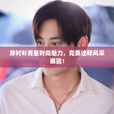 穿襯衫男星時(shí)尚魅力，完美詮釋風(fēng)采展現(xiàn)！