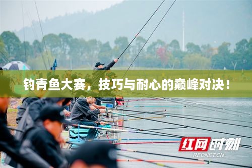 釣青魚大賽，技巧與耐心的巔峰對決！
