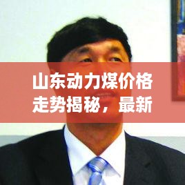 山東動(dòng)力煤價(jià)格走勢(shì)揭秘，最新行情分析報(bào)告