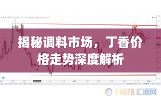 揭秘調(diào)料市場，丁香價(jià)格走勢深度解析