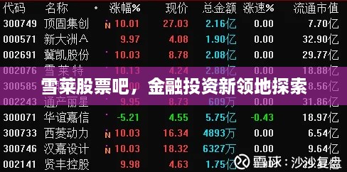 雪萊股票吧，金融投資新領(lǐng)地探索