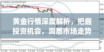 黃金行情深度解析，把握投資機會，洞悉市場走勢