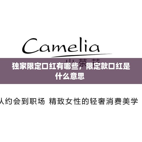 獨家限定口紅有哪些，限定款口紅是什么意思 