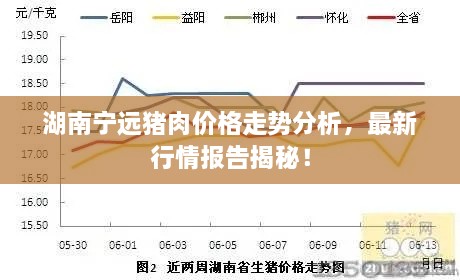 湖南寧遠(yuǎn)豬肉價(jià)格走勢(shì)分析，最新行情報(bào)告揭秘！
