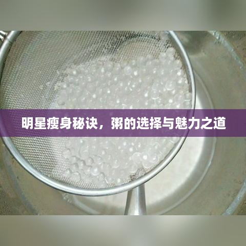 明星瘦身秘訣，粥的選擇與魅力之道
