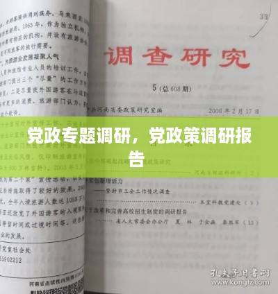 黨政專(zhuān)題調(diào)研，黨政策調(diào)研報(bào)告 