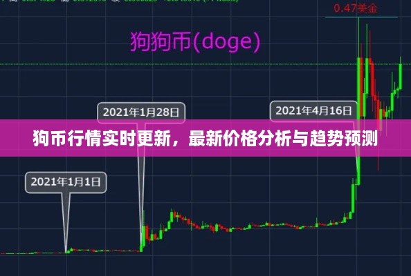 狗幣行情實(shí)時(shí)更新，最新價(jià)格分析與趨勢(shì)預(yù)測(cè)