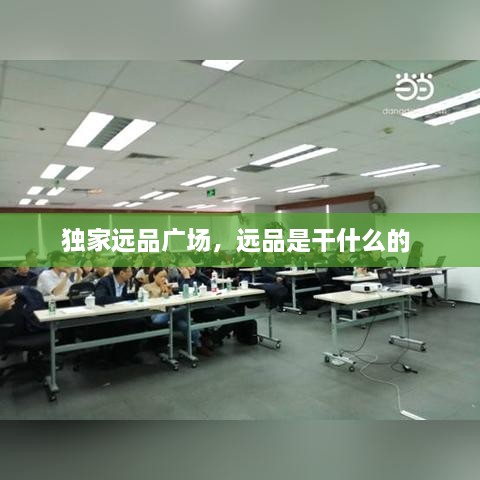 獨家遠品廣場，遠品是干什么的 
