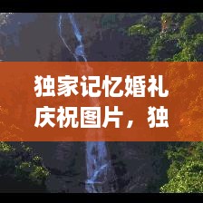 獨家記憶婚禮慶祝圖片，獨家記憶圖片唯美 