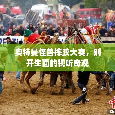 奧特曼怪獸摔跤大賽，別開生面的視聽奇觀