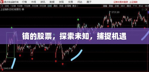 鏑的股票，探索未知，捕捉機(jī)遇