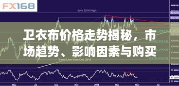 衛(wèi)衣布價格走勢揭秘，市場趨勢、影響因素與購買指南