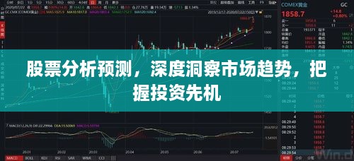 股票分析預測，深度洞察市場趨勢，把握投資先機