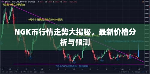 NGK幣行情走勢大揭秘，最新價格分析與預測