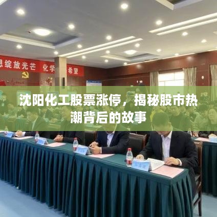 沈陽(yáng)化工股票漲停，揭秘股市熱潮背后的故事