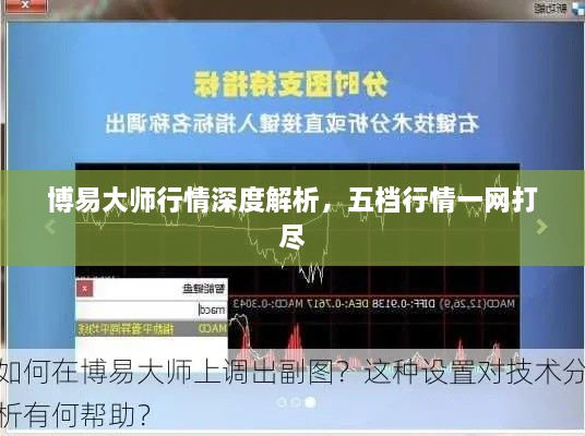 博易大師行情深度解析，五檔行情一網(wǎng)打盡