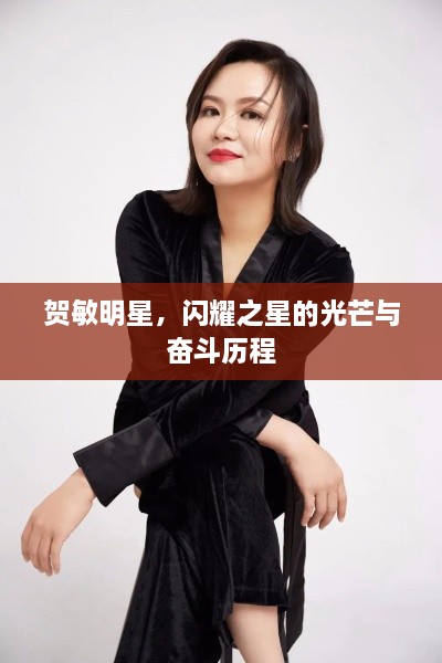賀敏明星，閃耀之星的光芒與奮斗歷程