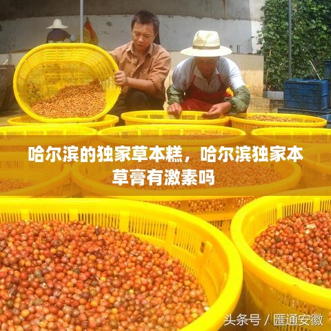 哈爾濱的獨家草本糕，哈爾濱獨家本草膏有激素嗎 