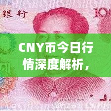 CNY幣今日行情深度解析，最新價格動態(tài)一網打盡！