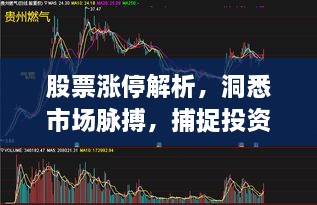 股票漲停解析，洞悉市場脈搏，捕捉投資黃金機會