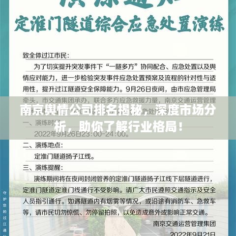 南京輿情公司排名揭秘，深度市場分析，助你了解行業(yè)格局！