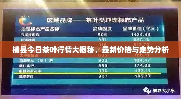 橫縣今日茶葉行情大揭秘，最新價(jià)格與走勢分析