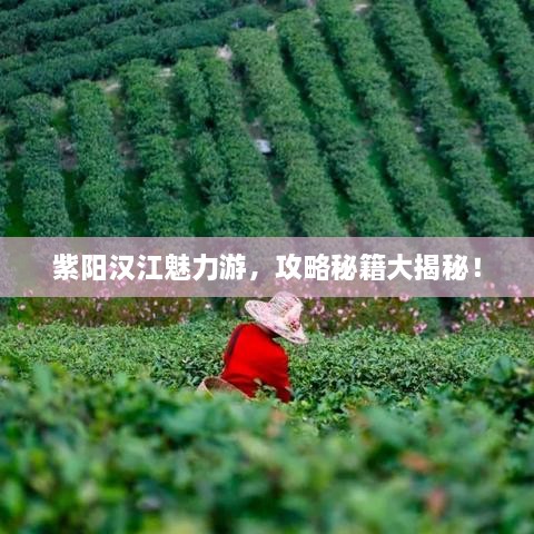 紫陽漢江魅力游，攻略秘籍大揭秘！