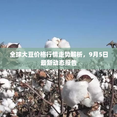 全球大豆價格行情走勢解析，9月5日最新動態(tài)報告