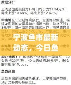 寧波魚市最新動態(tài)，今日魚價、市場走勢及影響因素全解析