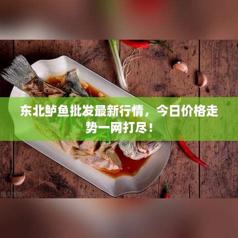 東北鱸魚批發(fā)最新行情，今日價(jià)格走勢(shì)一網(wǎng)打盡！