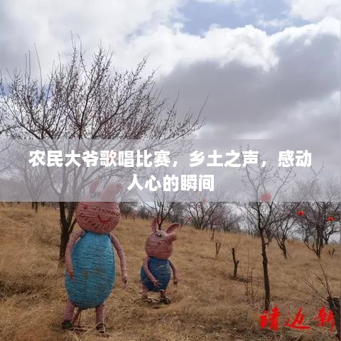 農(nóng)民大爺歌唱比賽，鄉(xiāng)土之聲，感動(dòng)人心的瞬間