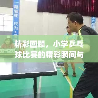 精彩回顧，小學(xué)乒乓球比賽的精彩瞬間與收獲總結(jié)
