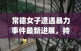 常德女子遭遇暴力事件最新進(jìn)展，持續(xù)關(guān)注被打女子最新消息