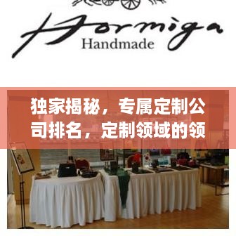 獨家揭秘，專屬定制公司排名，定制領(lǐng)域的領(lǐng)軍者
