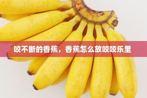咬不斷的香蕉，香蕉怎么放咬咬樂里 