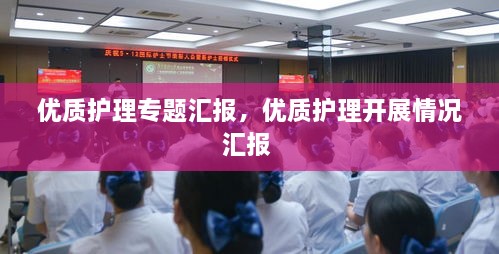 優(yōu)質(zhì)護(hù)理專題匯報(bào)，優(yōu)質(zhì)護(hù)理開展情況匯報(bào) 