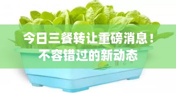 今日三餐轉(zhuǎn)讓重磅消息！不容錯(cuò)過的新動(dòng)態(tài)