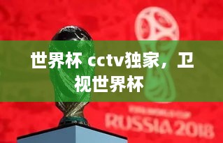 世界杯 cctv獨家，衛(wèi)視世界杯 