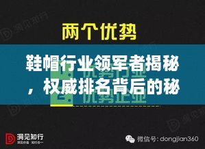 鞋帽行業(yè)領(lǐng)軍者揭秘，權(quán)威排名背后的秘密