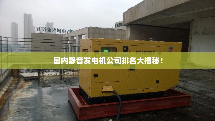 國(guó)內(nèi)靜音發(fā)電機(jī)公司排名大揭秘！