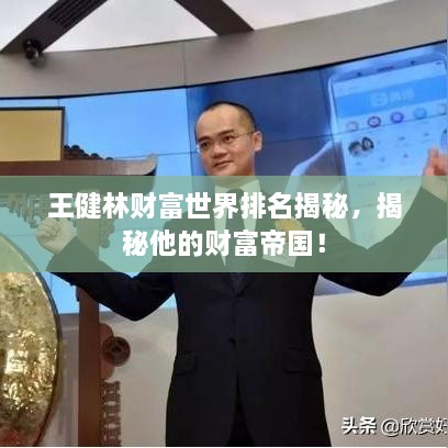 王健林財(cái)富世界排名揭秘，揭秘他的財(cái)富帝國！