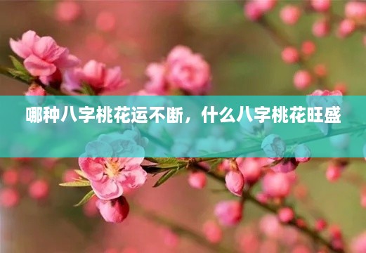 哪種八字桃花運不斷，什么八字桃花旺盛 