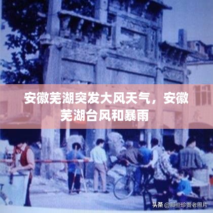 安徽蕪湖突發(fā)大風(fēng)天氣，安徽蕪湖臺(tái)風(fēng)和暴雨 