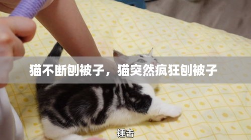 半截鳥木 第2頁(yè)