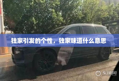 獨(dú)家引發(fā)的個(gè)性，獨(dú)家味道什么意思 