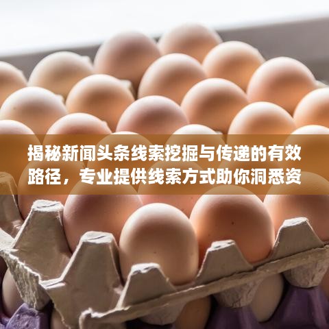 揭秘新聞頭條線索挖掘與傳遞的有效路徑，專業(yè)提供線索方式助你洞悉資訊動態(tài)