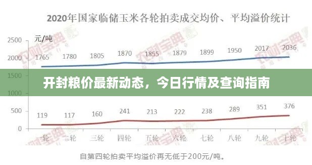 開封糧價(jià)最新動(dòng)態(tài)，今日行情及查詢指南