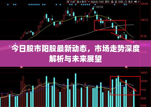 今日股市陽(yáng)股最新動(dòng)態(tài)，市場(chǎng)走勢(shì)深度解析與未來(lái)展望